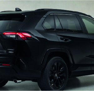 AT 20 Neutral - Window Films